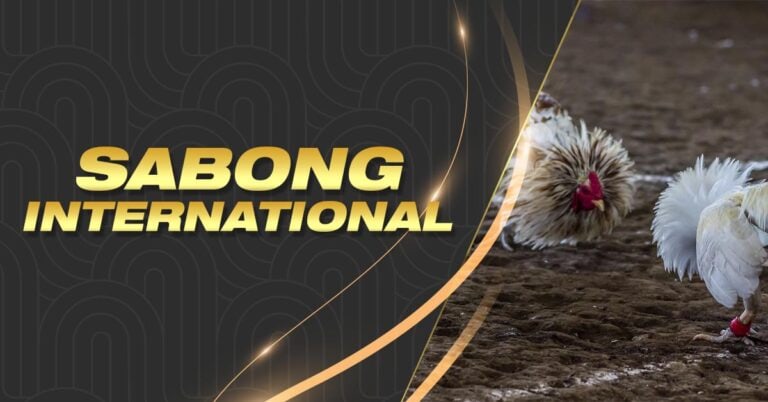 sg777 bet how to work out a each way bet